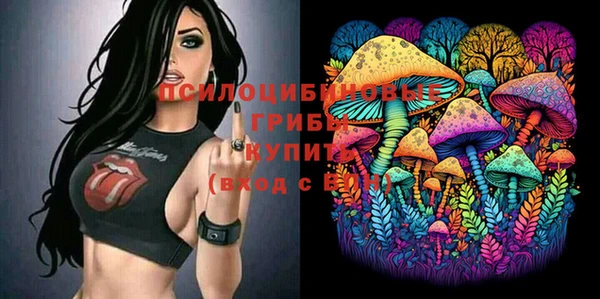 мдпв Баксан