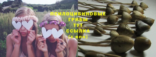 прущие крисы Балабаново